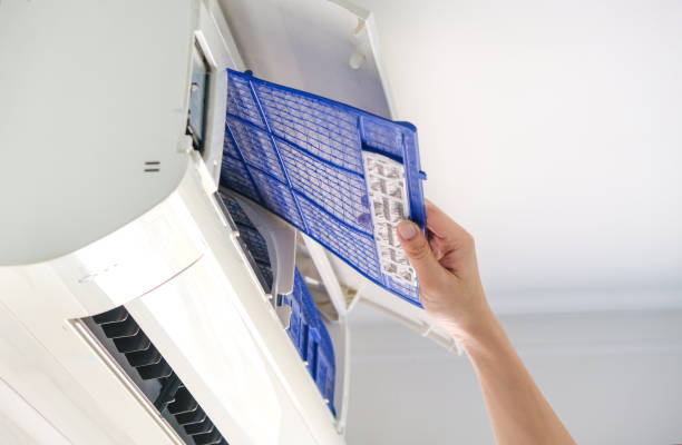 Best Duct Cleaning for Homes  in Hallsville, TX