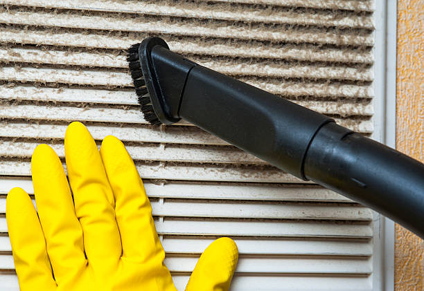 Best Ductwork Cleaning Services  in Hallsville, TX